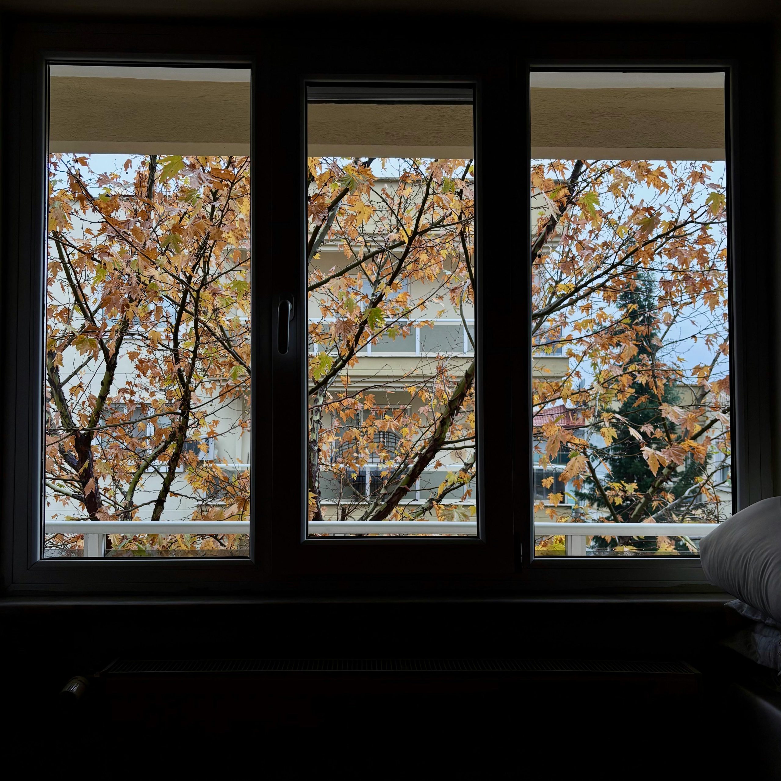 pexels-erva-ozkaya-1654570663-34978098